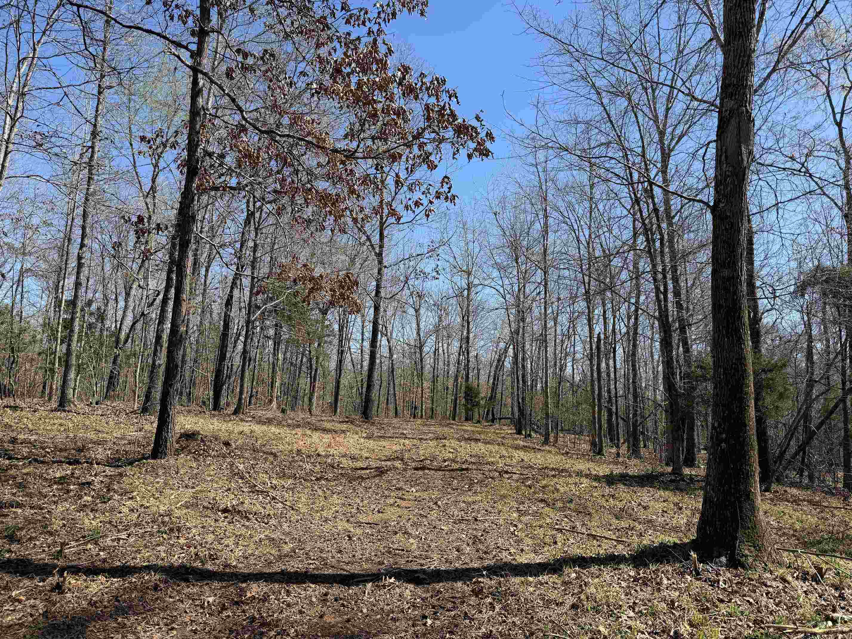 1 Delaney Loop Adamsville, TN 38310 - Photo 33 of 33 a backyard of the house