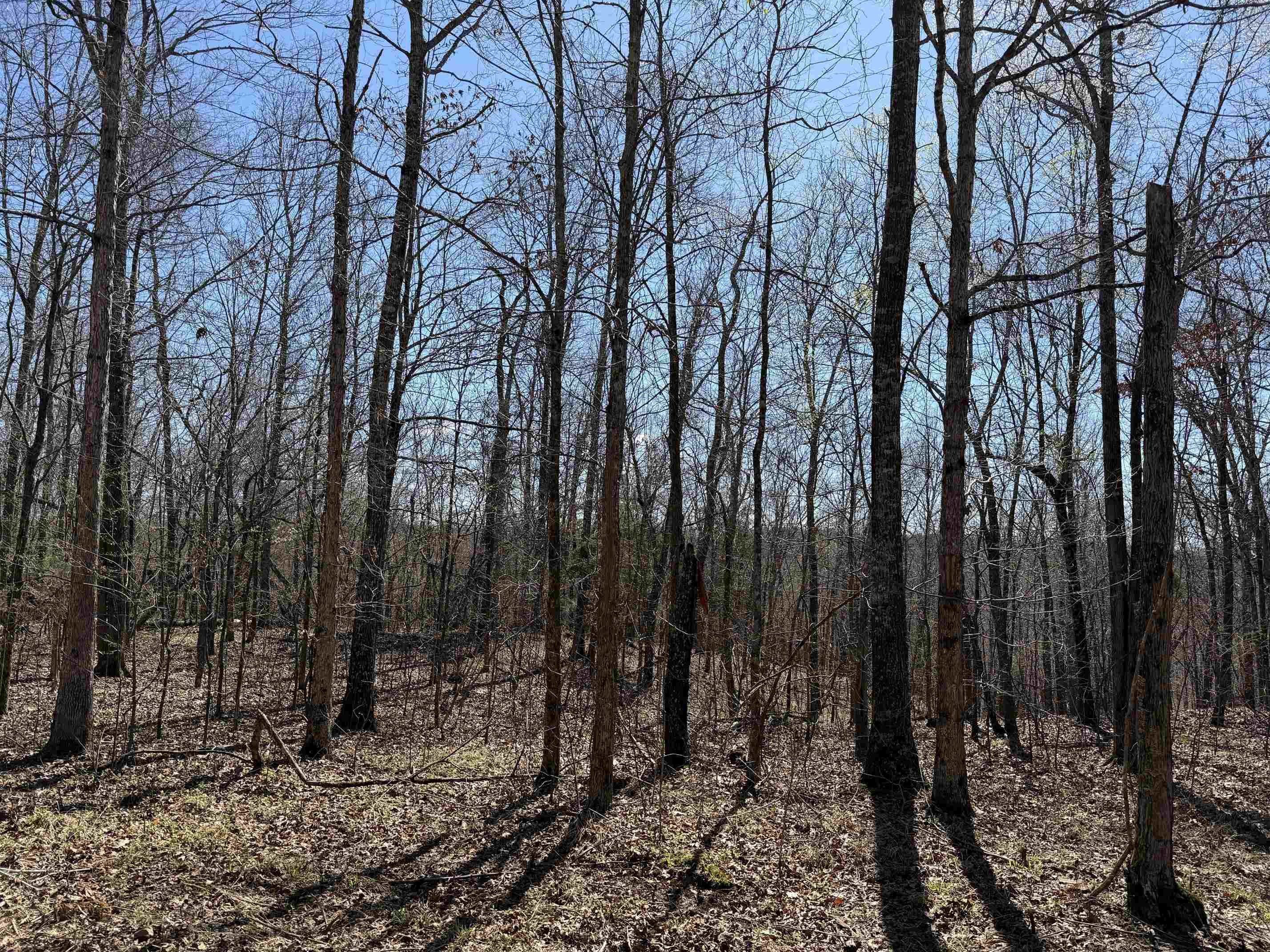 1 Delaney Loop Adamsville, TN 38310 - Photo 8 of 33