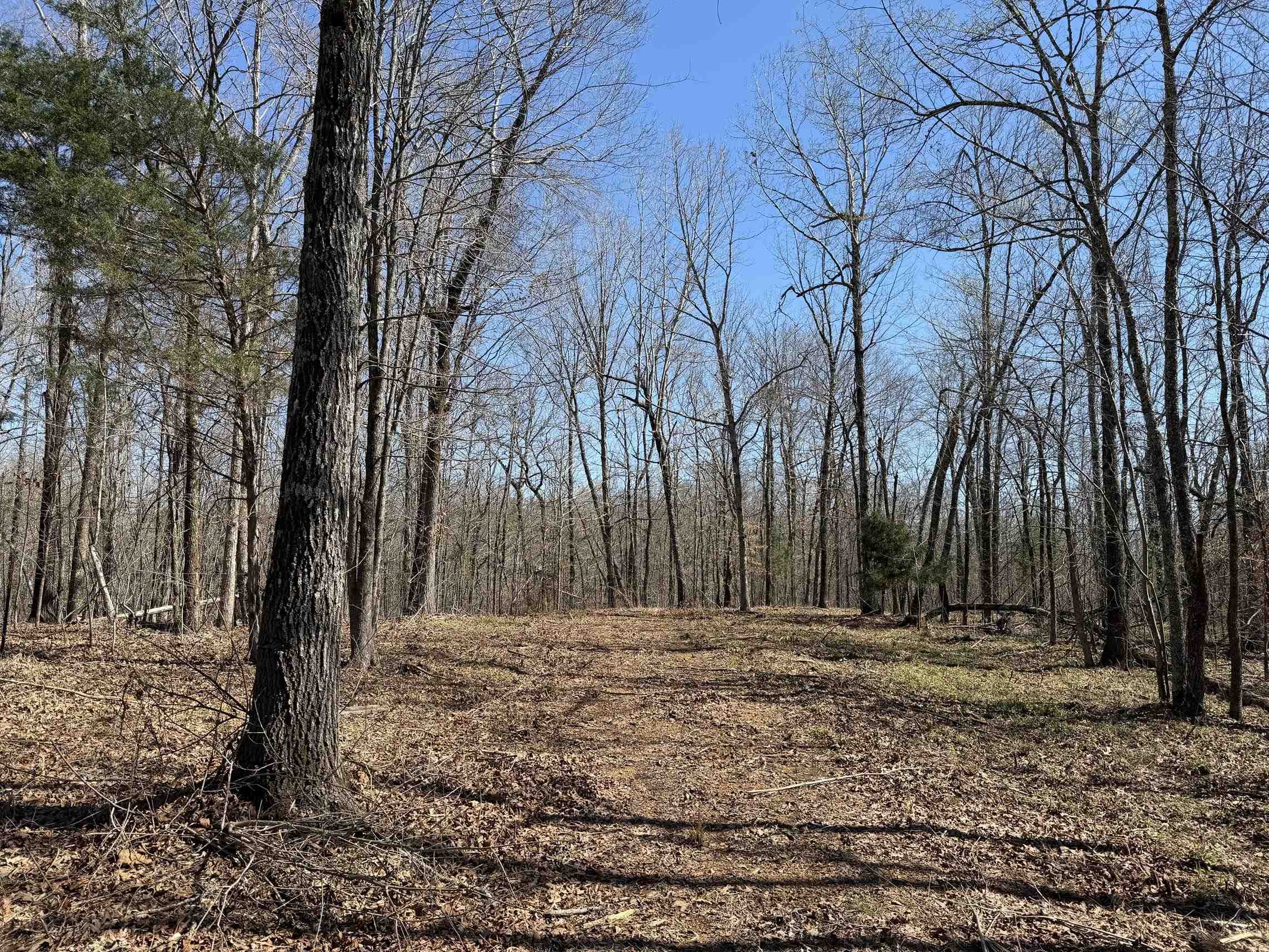 1 Delaney Loop Adamsville, TN 38310 - Photo 9 of 33