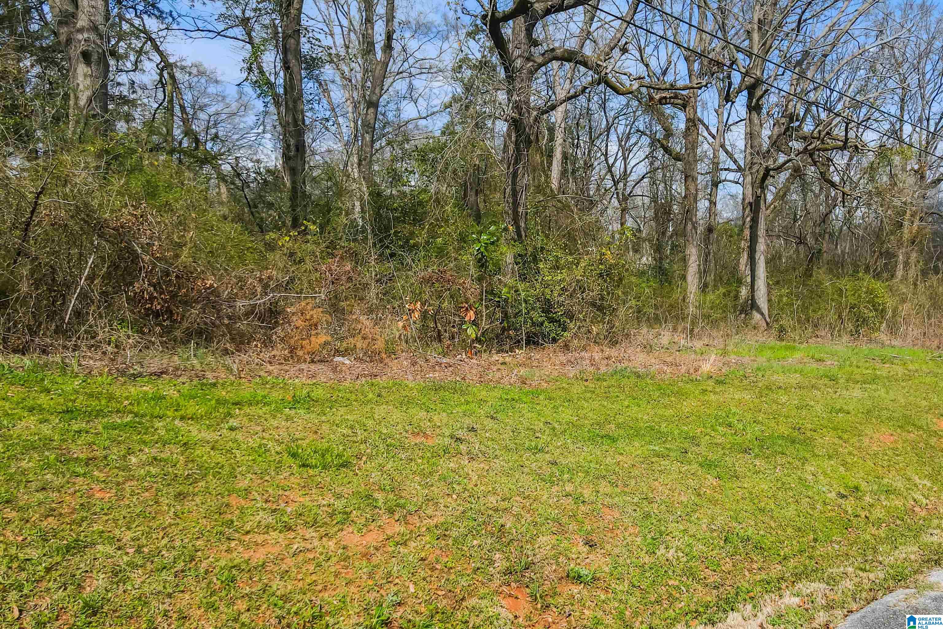 227 Commerce Street, Unit 28 Montevallo, AL 35115 - Photo 5 of 18 Gallery Image 5