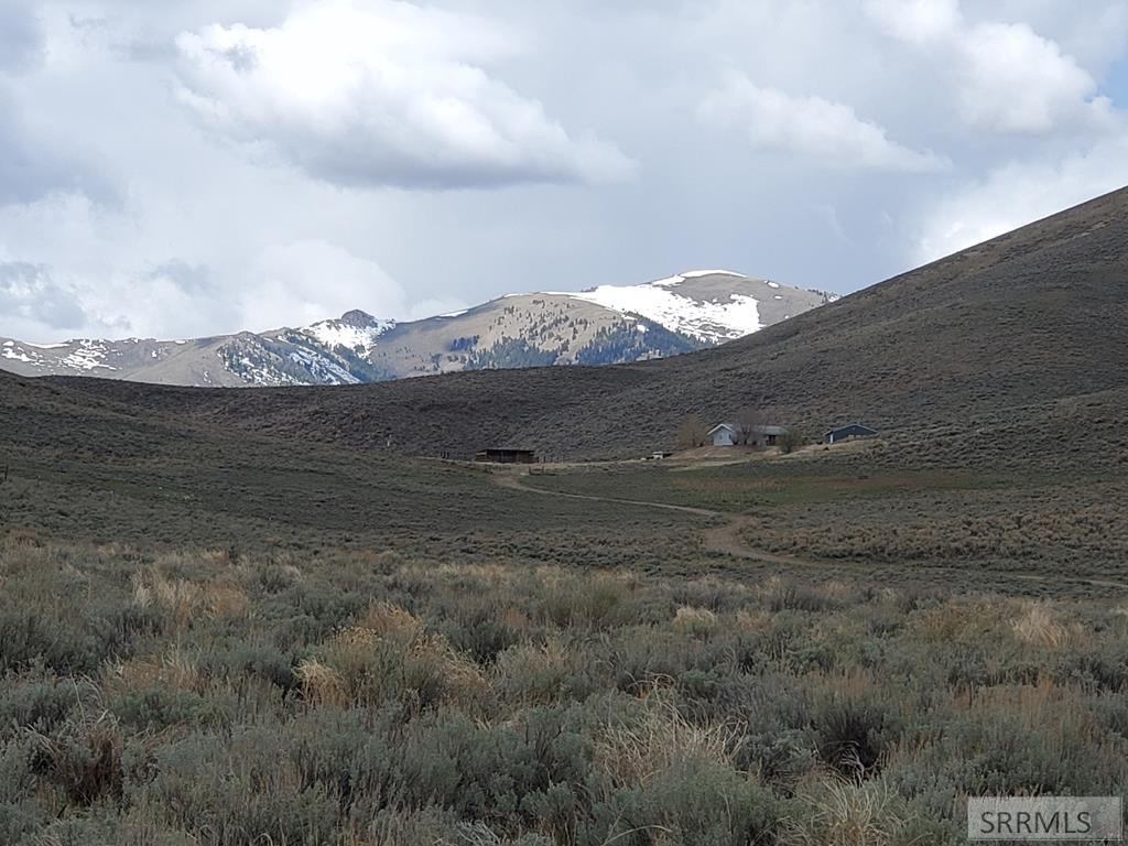 1981 Blizzard Mountain Road Arco, ID 83213 - Photo 6 of 38