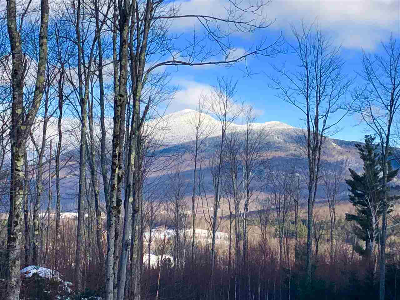 County Road Lincoln, VT 05443 - Photo 1 of 24