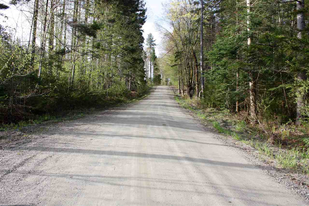 County Road Lincoln, VT 05443 - Photo 14 of 24