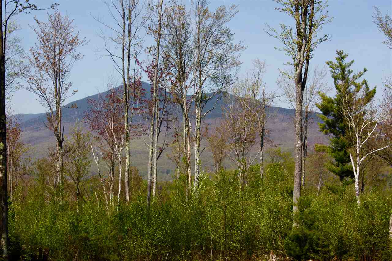 County Road Lincoln, VT 05443 - Photo 22 of 24