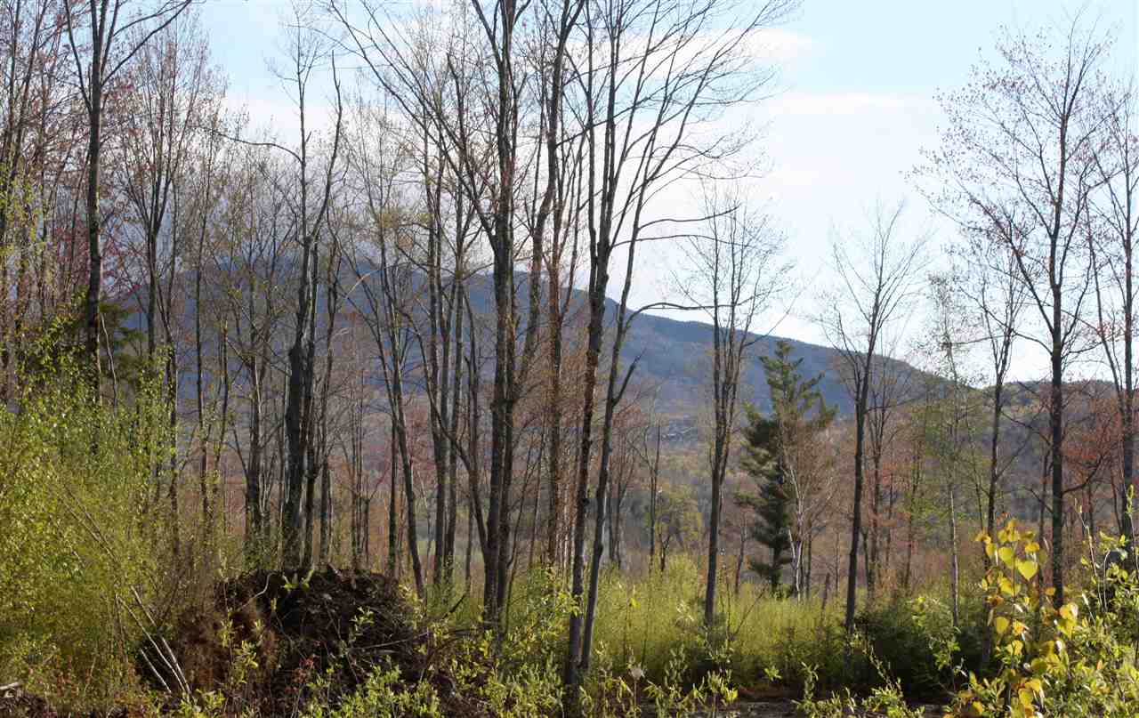 County Road Lincoln, VT 05443 - Photo 4 of 24