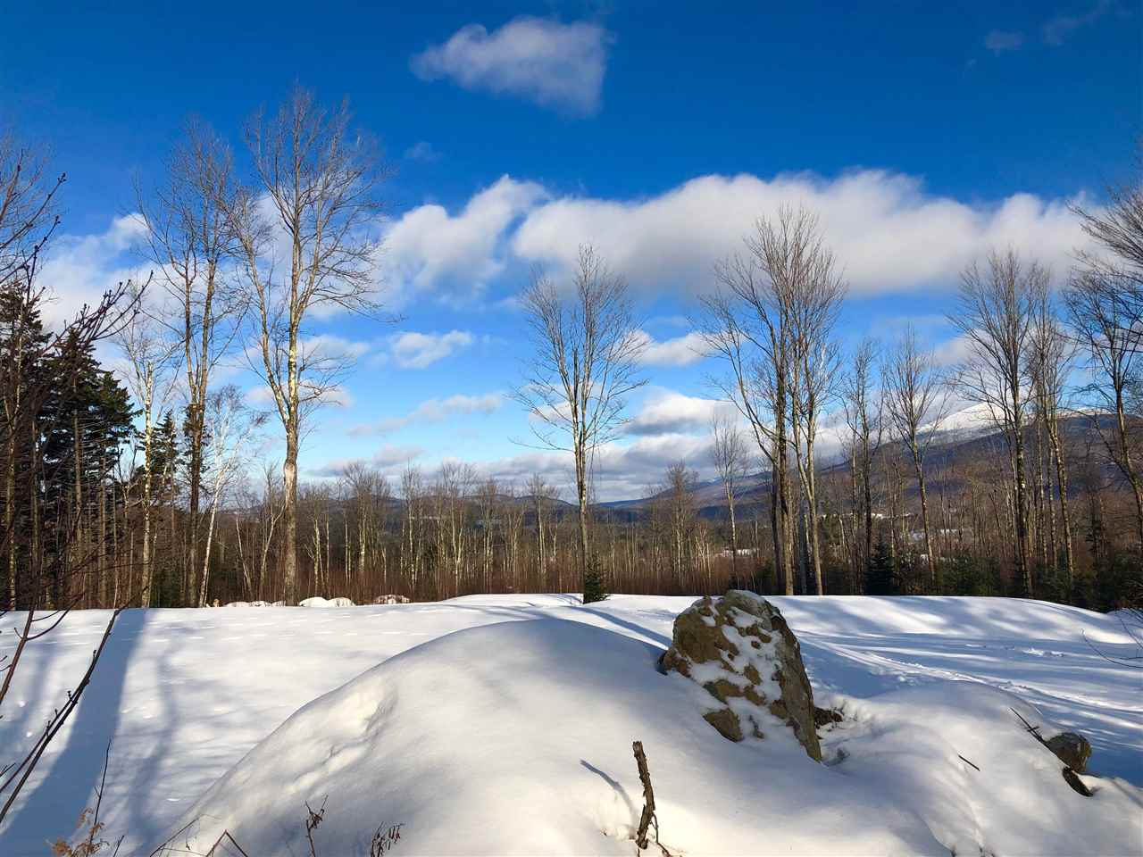County Road Lincoln, VT 05443 - Photo 8 of 24