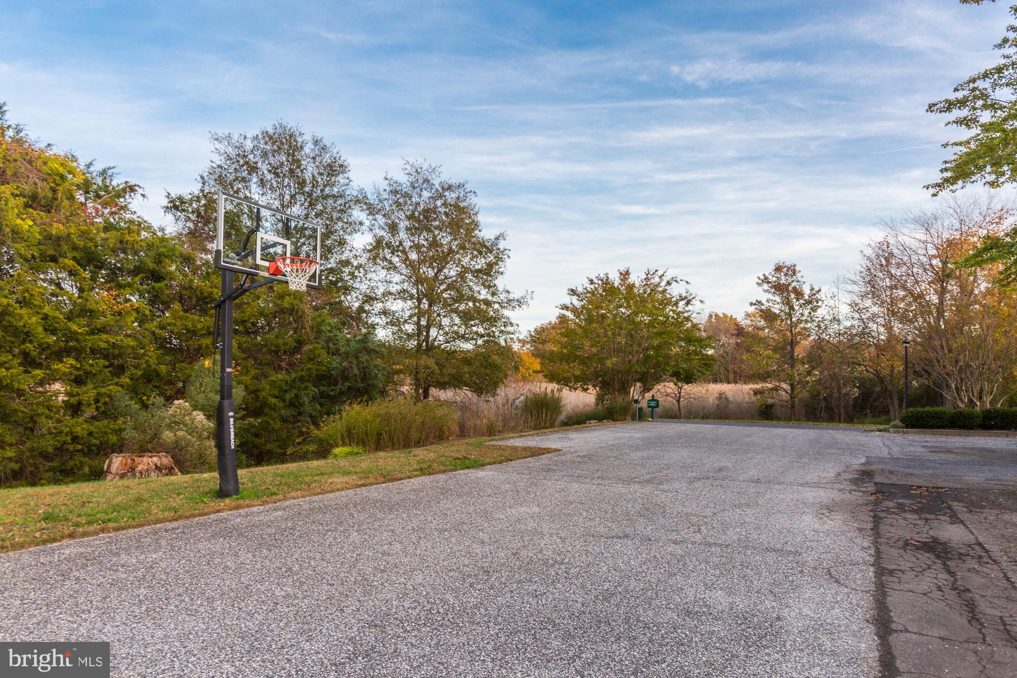 1309 Beachview Road Annapolis, MD 21403 - Photo 95 of 96 Basketball