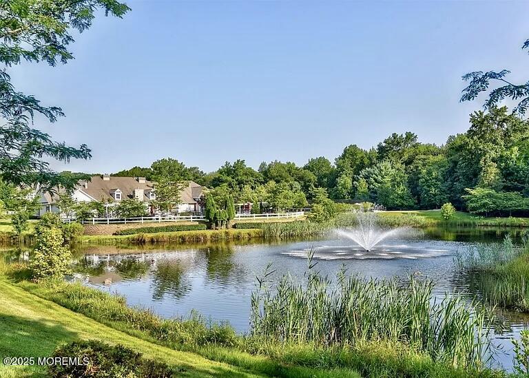 39 Azalea Drive Old Bridge, NJ 08857 - Photo 11 of 21 IMG_3677