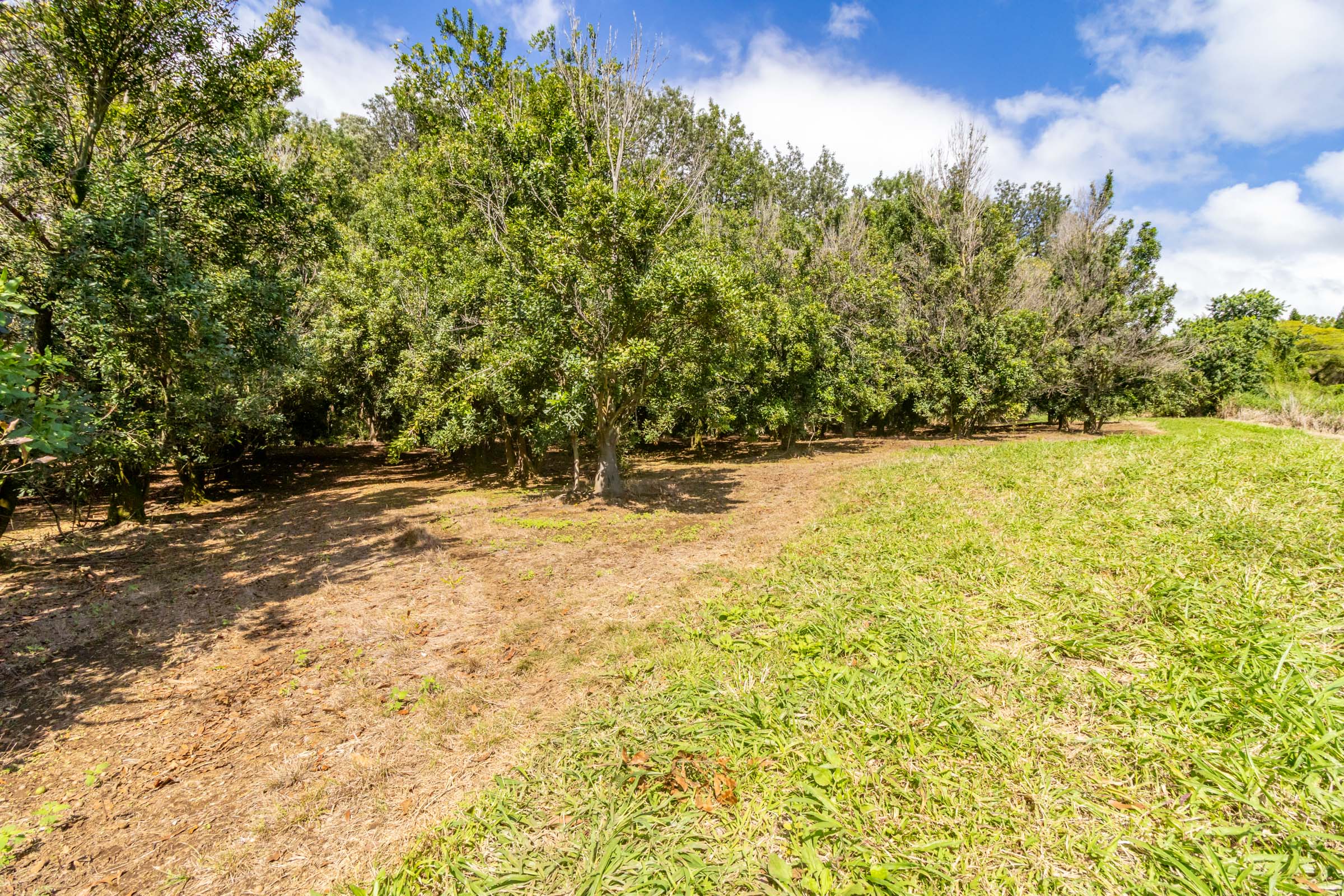 96-2865 Wood Valley Road Pahala, HI 96777 - Photo 11 of 18