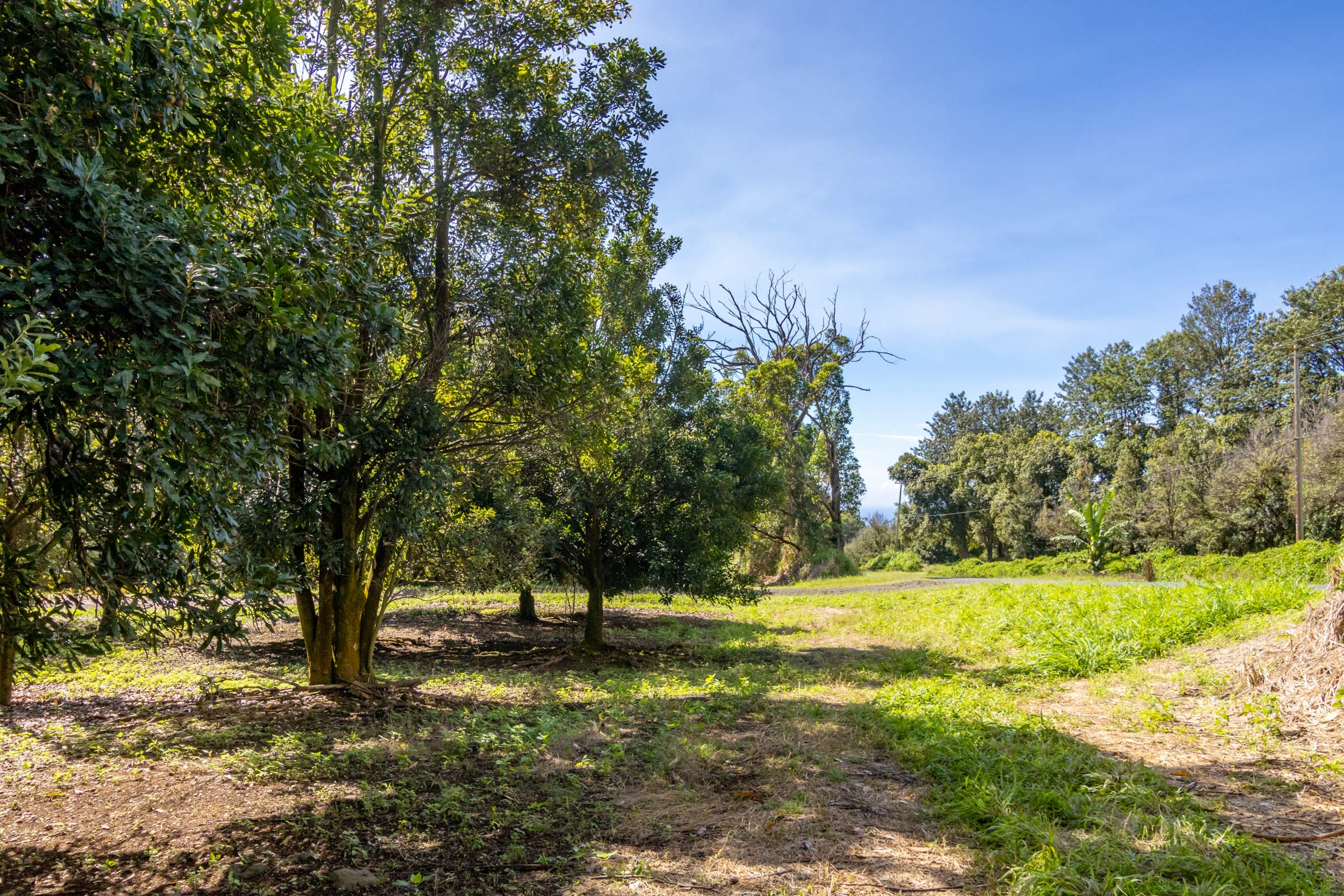 96-2865 Wood Valley Road Pahala, HI 96777 - Photo 12 of 18