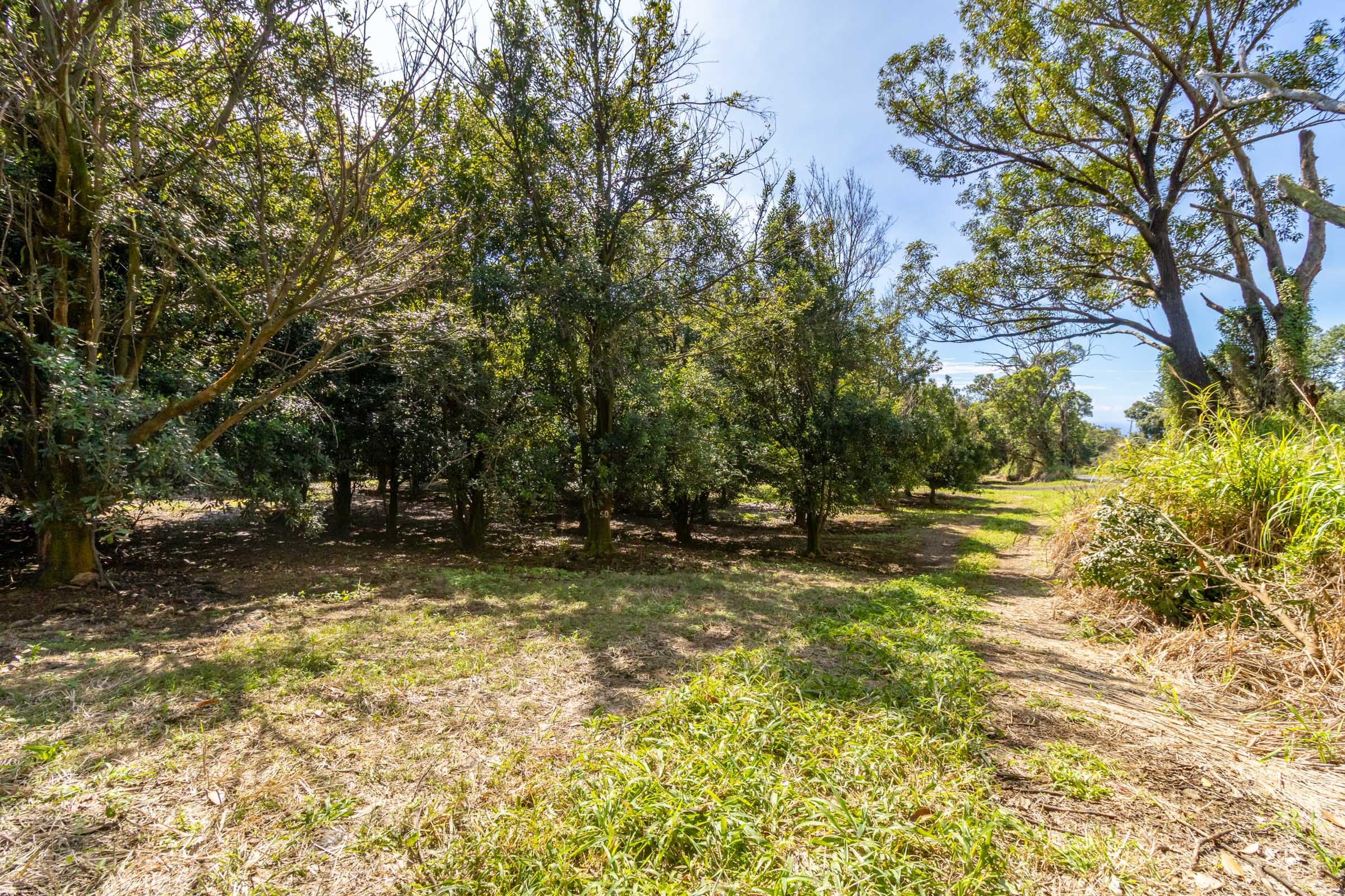 96-2865 Wood Valley Road Pahala, HI 96777 - Photo 13 of 18