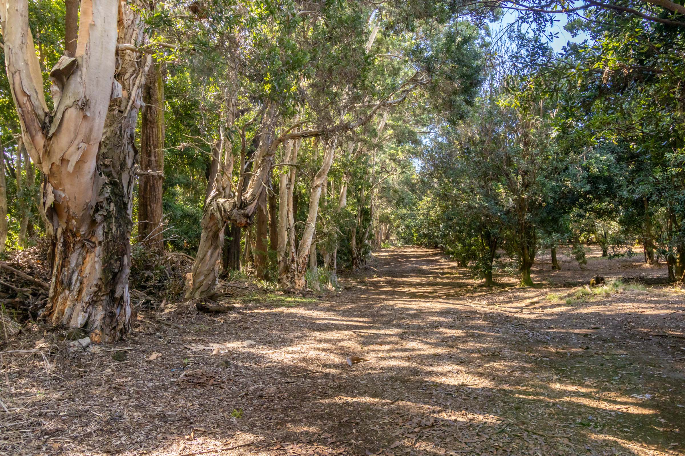 96-2865 Wood Valley Road Pahala, HI 96777 - Photo 14 of 18