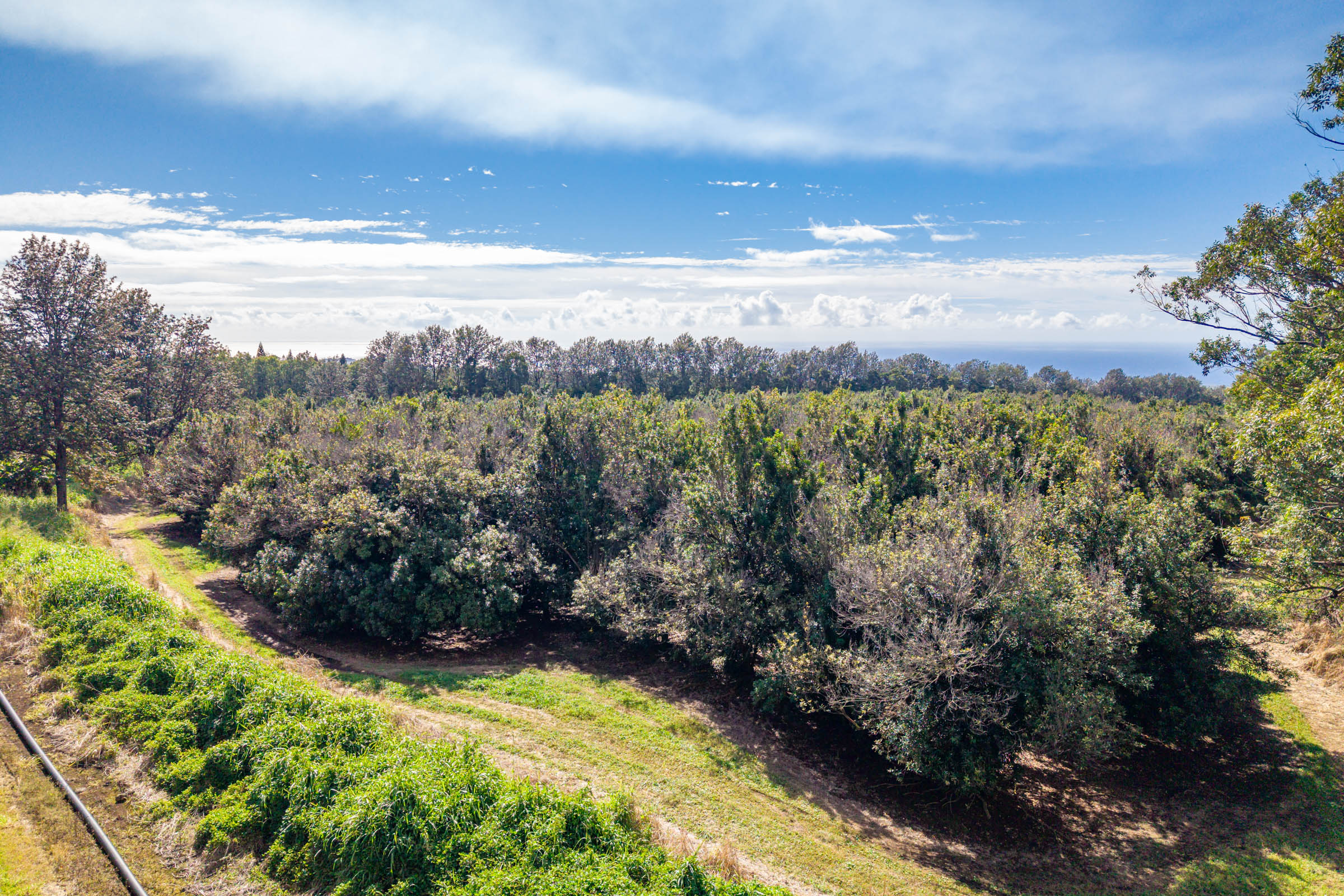 96-2865 Wood Valley Road Pahala, HI 96777 - Photo 15 of 18