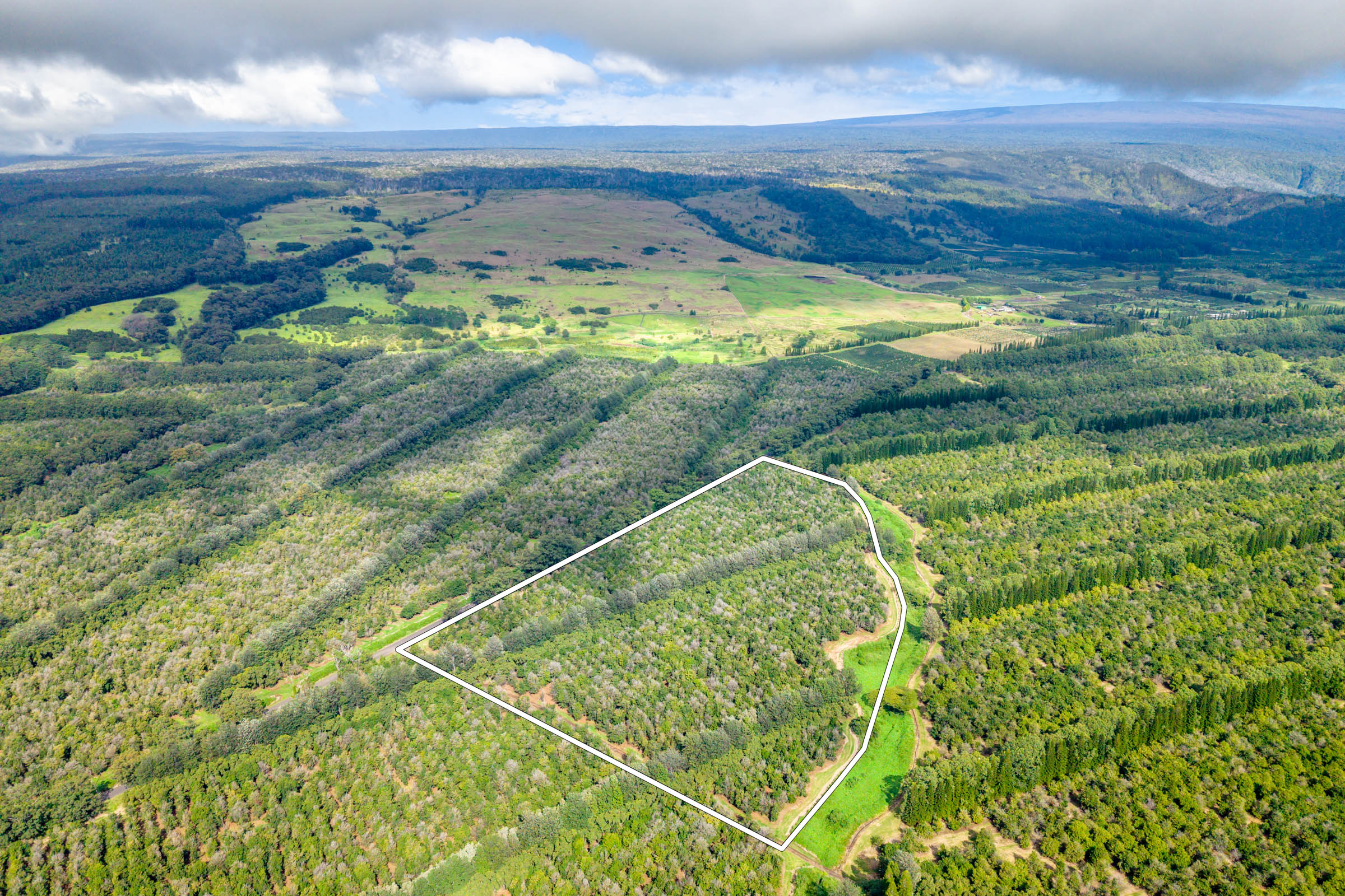 96-2865 Wood Valley Road Pahala, HI 96777 - Photo 16 of 18
