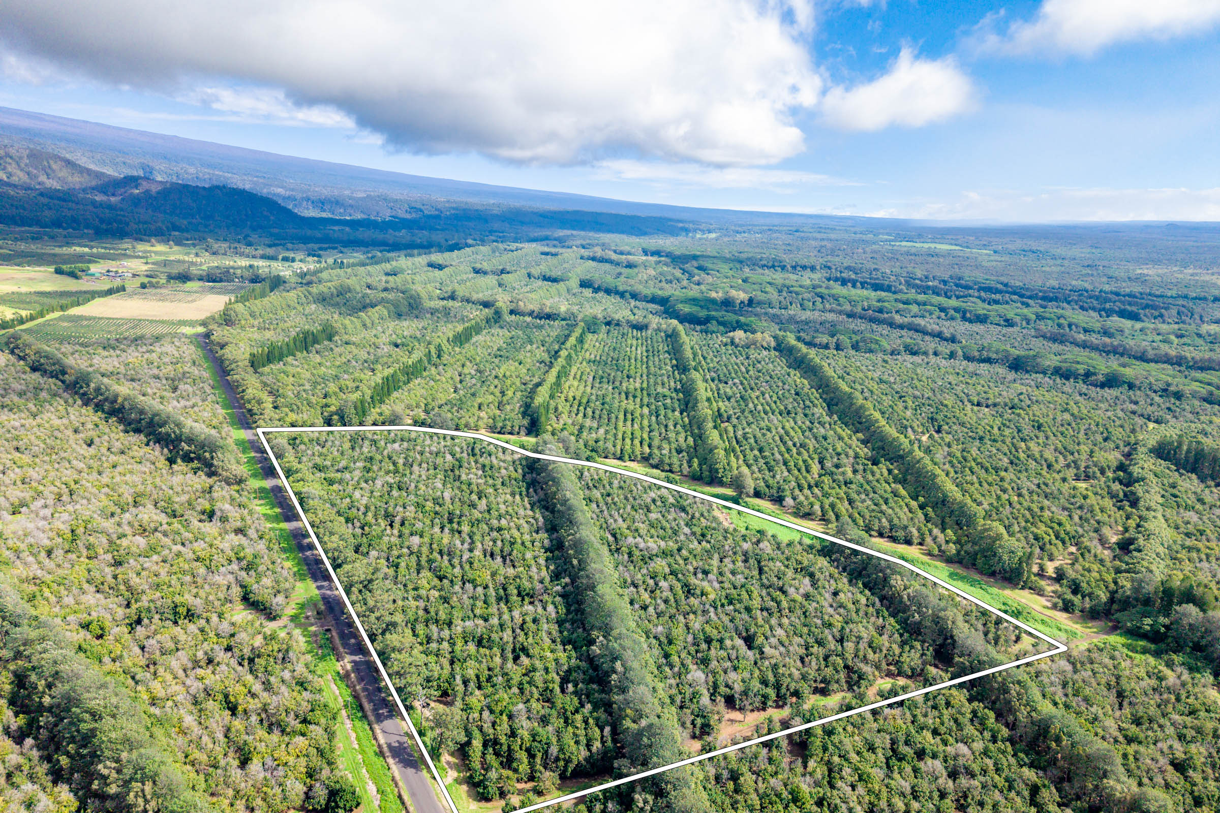 96-2865 Wood Valley Road Pahala, HI 96777 - Photo 18 of 18