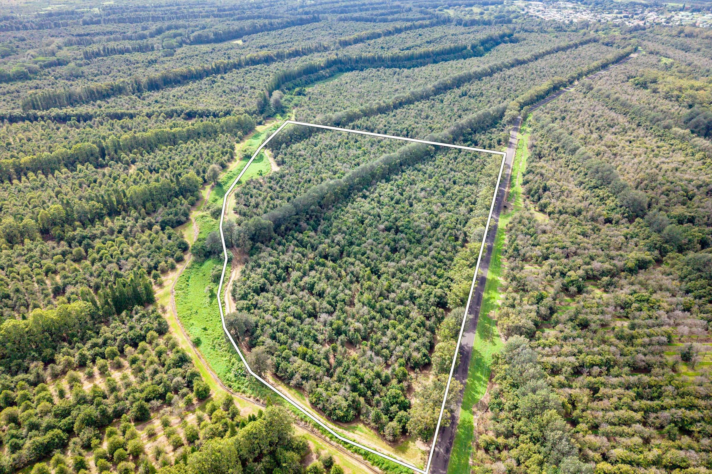 96-2865 Wood Valley Road Pahala, HI 96777 - Photo 3 of 18