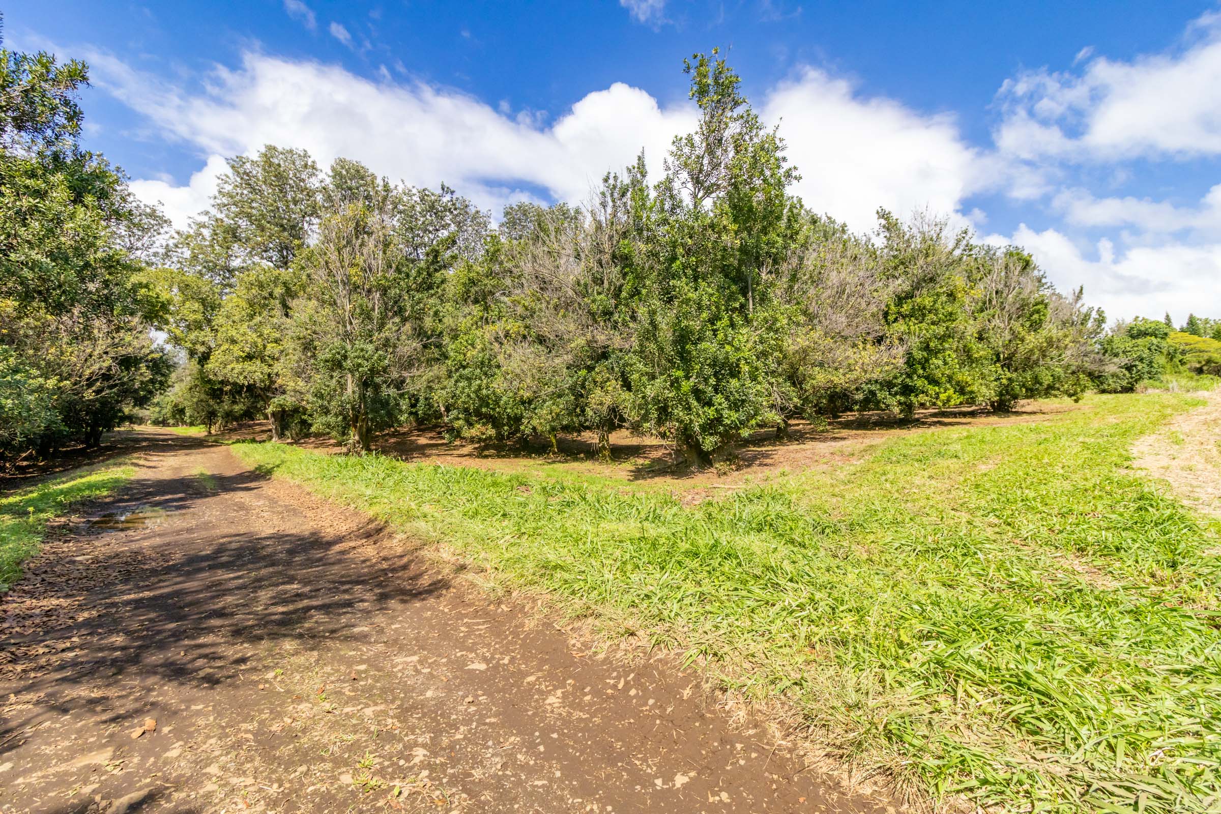 96-2865 Wood Valley Road Pahala, HI 96777 - Photo 7 of 18