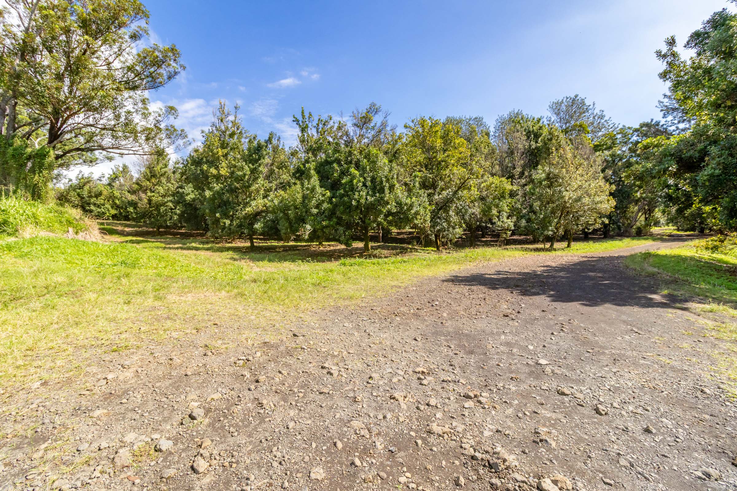 96-2865 Wood Valley Road Pahala, HI 96777 - Photo 9 of 18