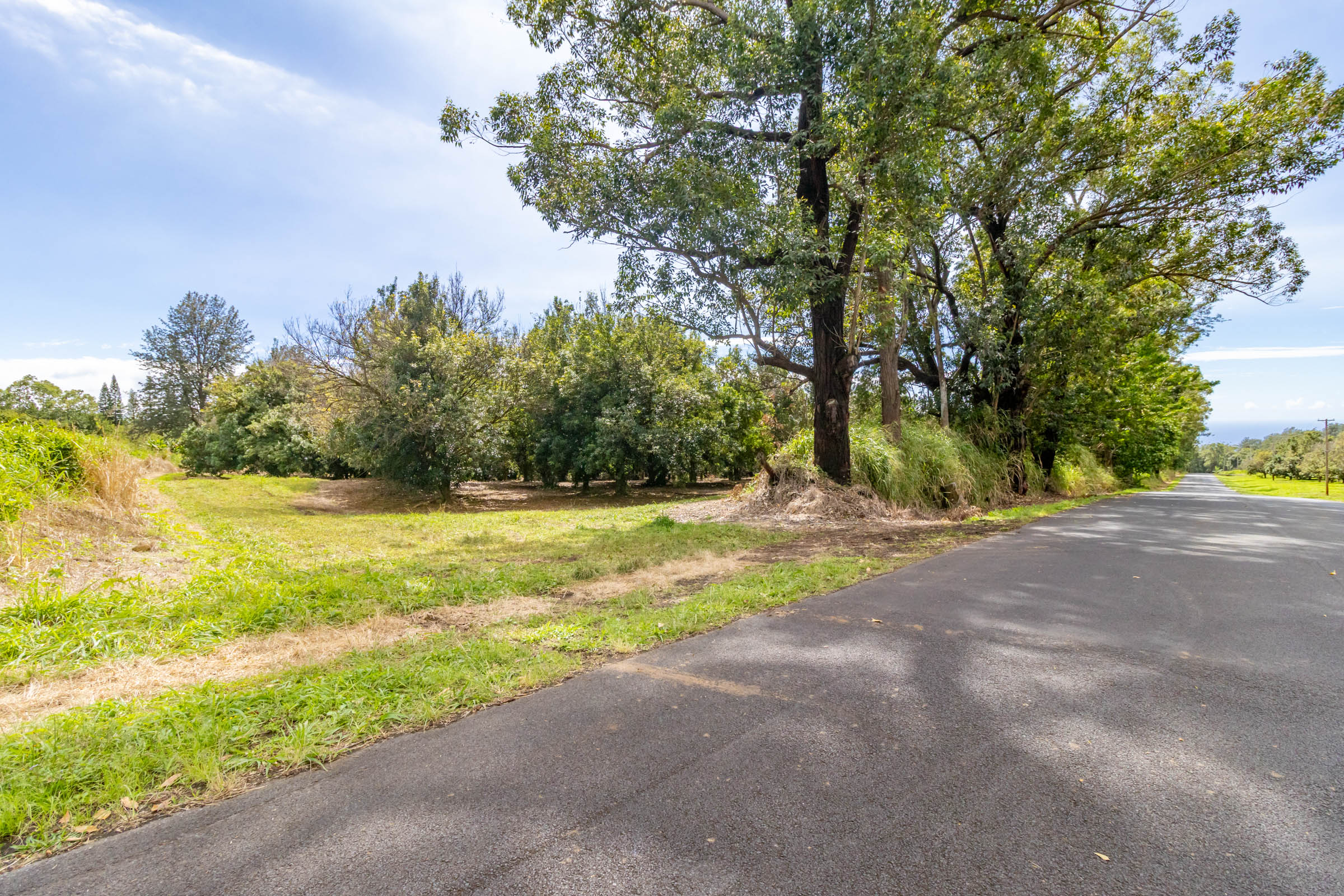 96-2865 Wood Valley Road Pahala, HI 96777 - Photo 10 of 18