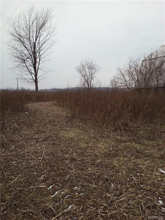 1490 Trainer Road Melvin, MI 48454 - Photo 5 of 10