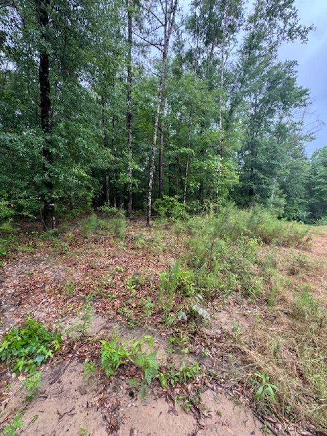26929 Loango Road Red Level, AL 36474 - Photo 3 of 4 Gallery Image 3
