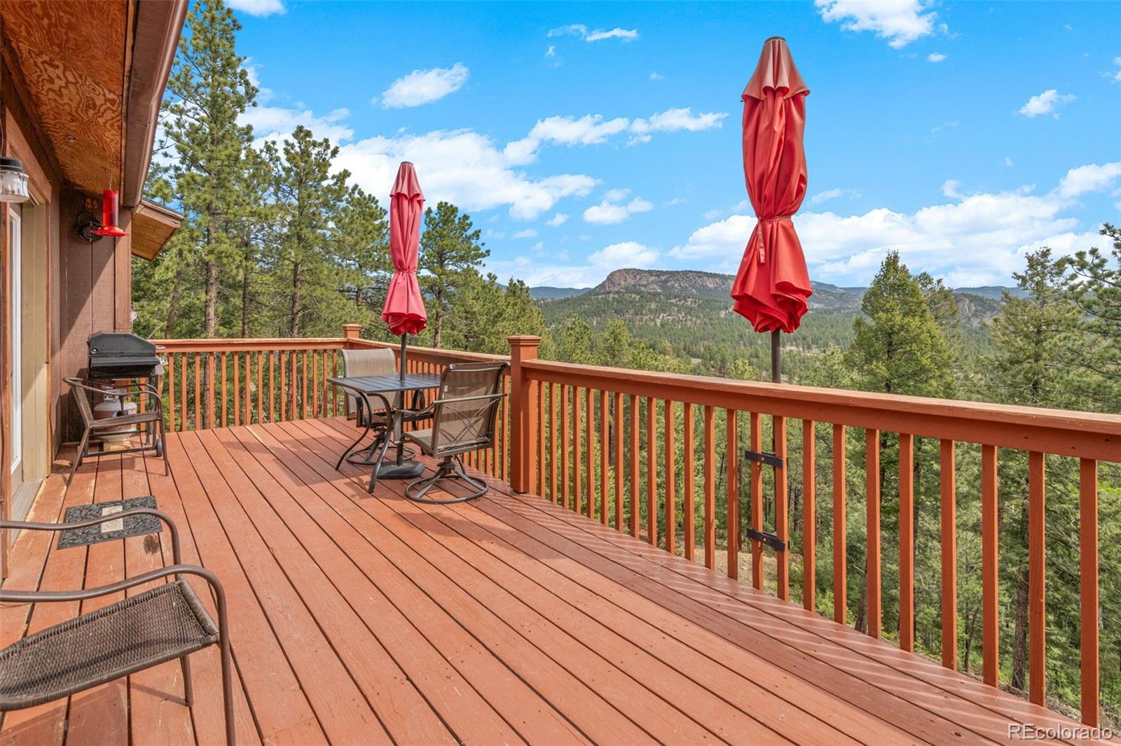 181 Catamount Ridge Road Bailey, CO 80421 - Photo 11 of 47