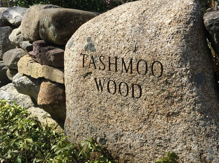 150 Cove Road, Unit 10 Vineyard Haven, MA 02568 - Photo 37 of 43