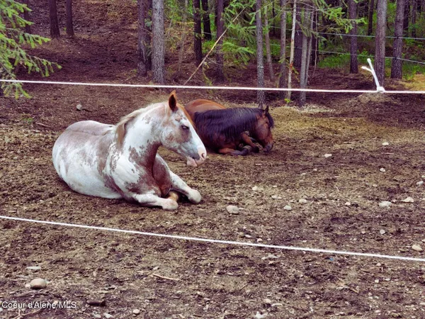 $749,000 | 34517 North Hayden Drive, Spirit Lake, ID 83869