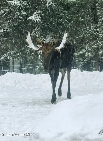 $749,000 | 34517 North Hayden Drive, Spirit Lake, ID 83869