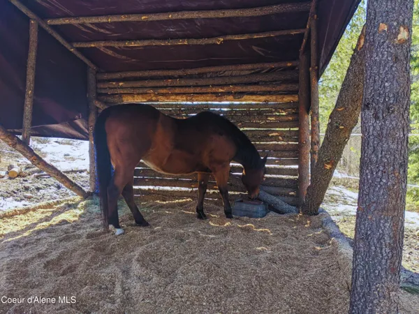 $749,000 | 34517 North Hayden Drive, Spirit Lake, ID 83869