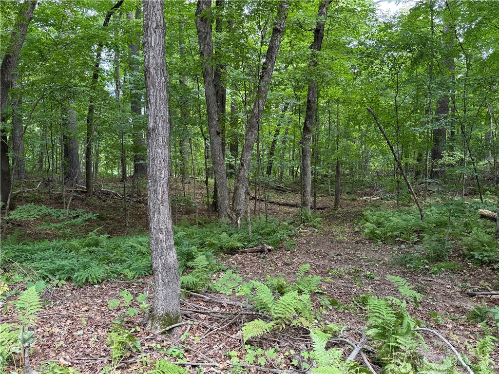 W2371 Blackhawk Road Sarona, WI 54870 - Photo 16 of 25