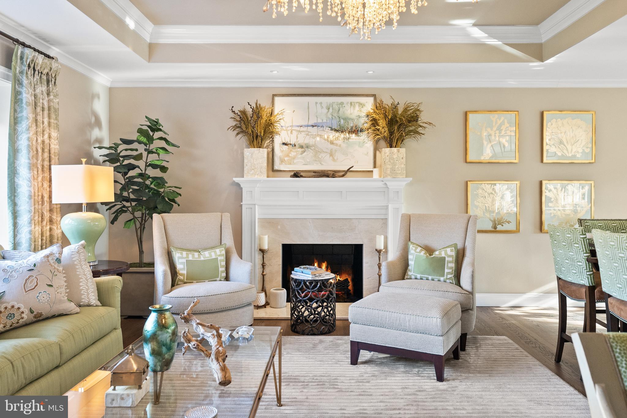 1101 Gatewood Drive Alexandria, VA 22307 - Photo 13 of 63 Wood burning fireplace