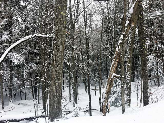 On Indian Lake Road Rhinelander, WI 54501 - Photo 3 of 7 Gallery Image 3