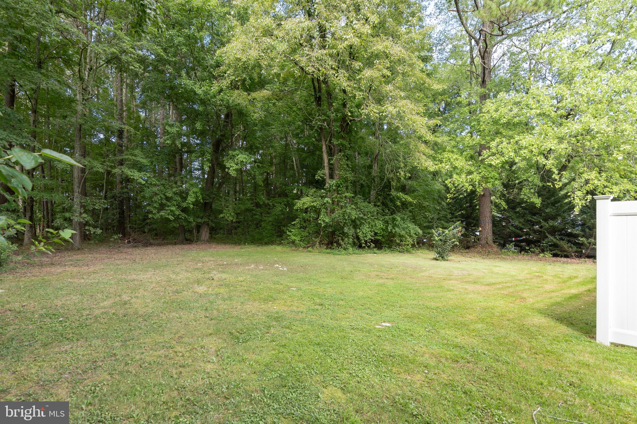 6824 Hopkins Neck Road Easton, MD 21601 - Photo 35 of 45 a view of outdoor space and yard