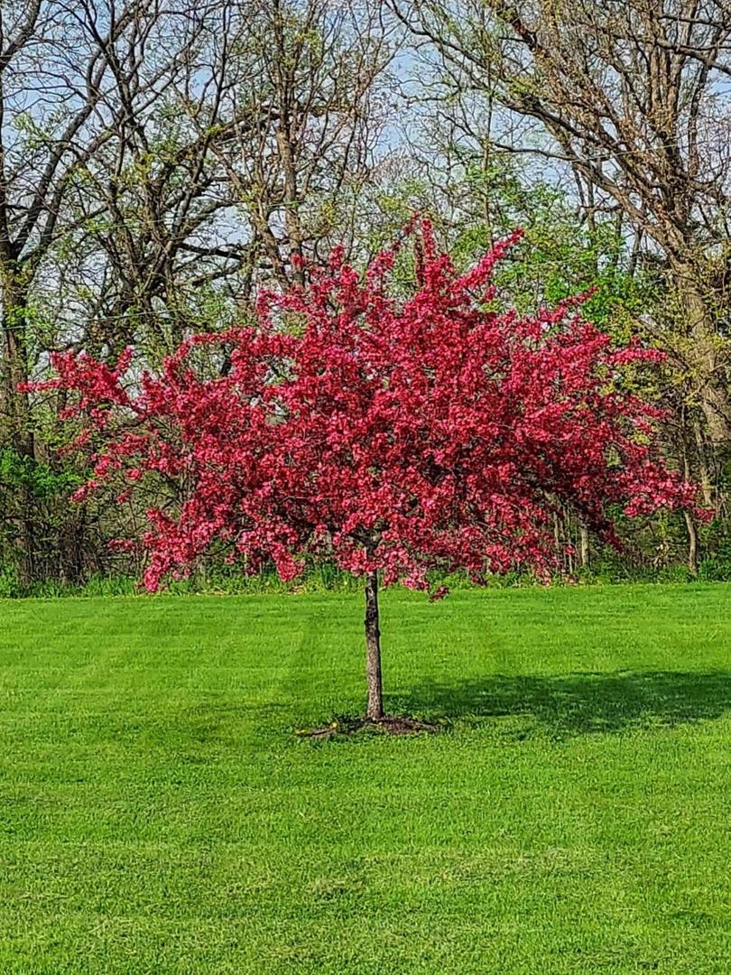2052 North 3569th Road Serena, IL 60549 - Photo 38 of 45