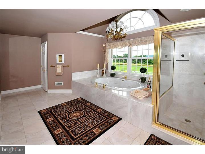 5941 Atkinson Road New Hope, PA 18938 - Photo 15 of 24 Bathroom
