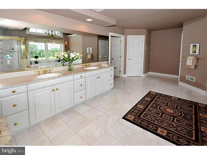 5941 Atkinson Road New Hope, PA 18938 - Photo 16 of 24 Bathroom