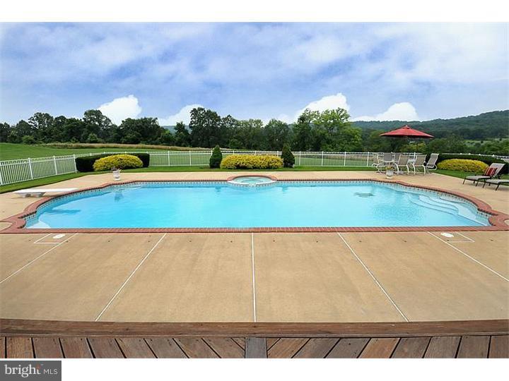 5941 Atkinson Road New Hope, PA 18938 - Photo 20 of 24 Pool