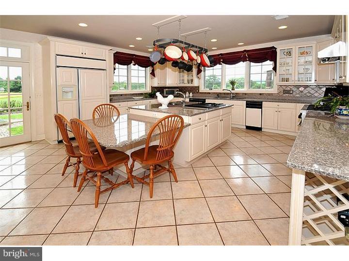 5941 Atkinson Road New Hope, PA 18938 - Photo 7 of 24 Kitchen