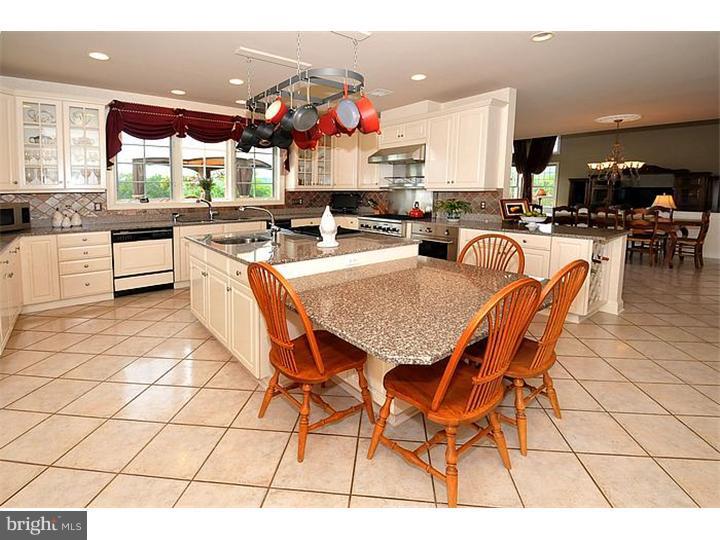 5941 Atkinson Road New Hope, PA 18938 - Photo 8 of 24 Kitchen