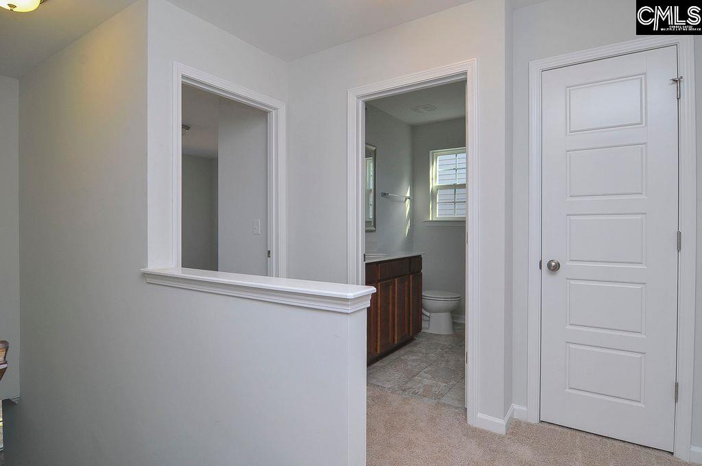 356 Hollow Cove Road Chapin, SC 29036 - Photo 16 of 29