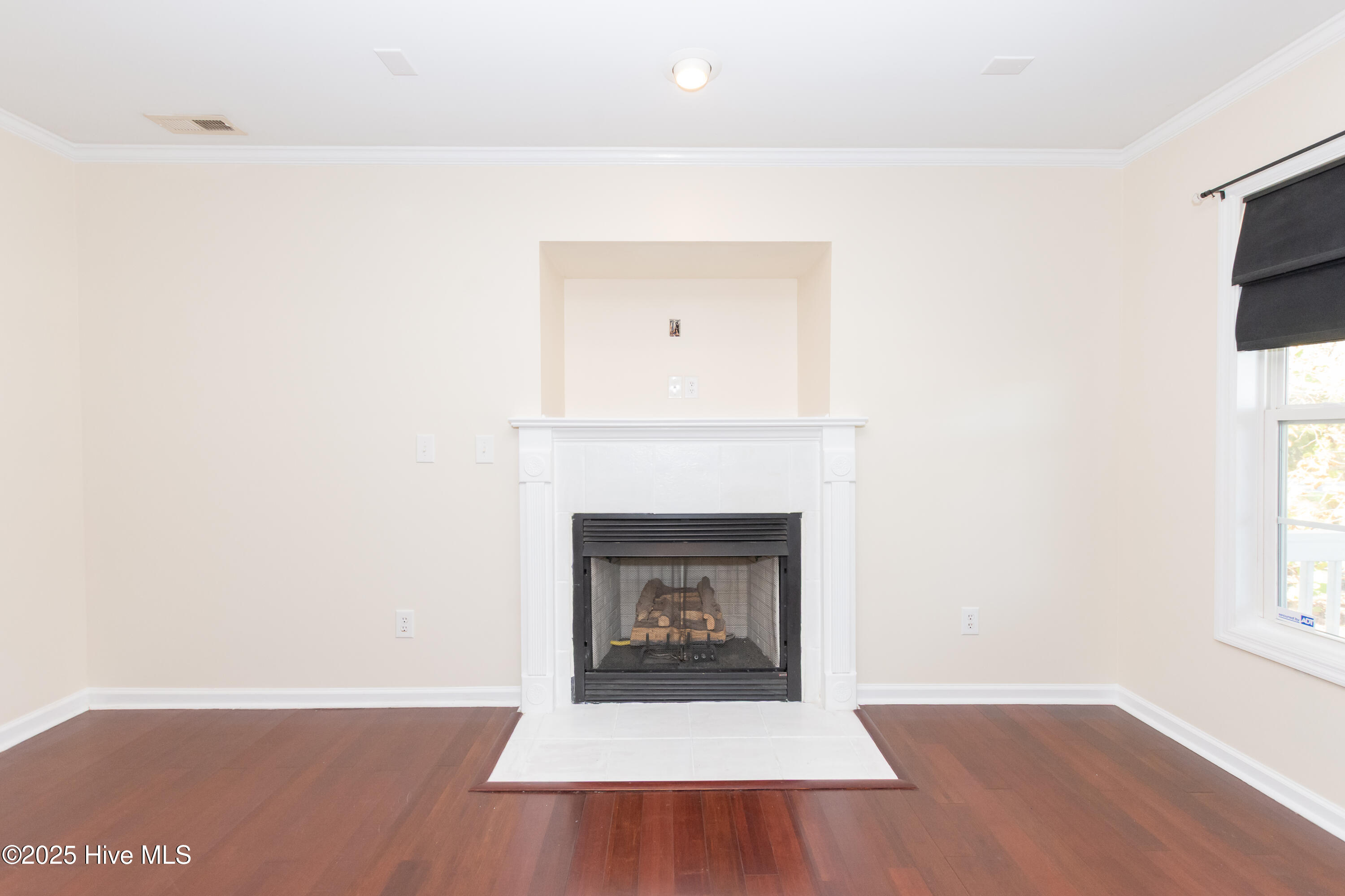 236 Petersburg Road Richlands, NC 28574 - Photo 9 of 39 Fireplace and custom niche