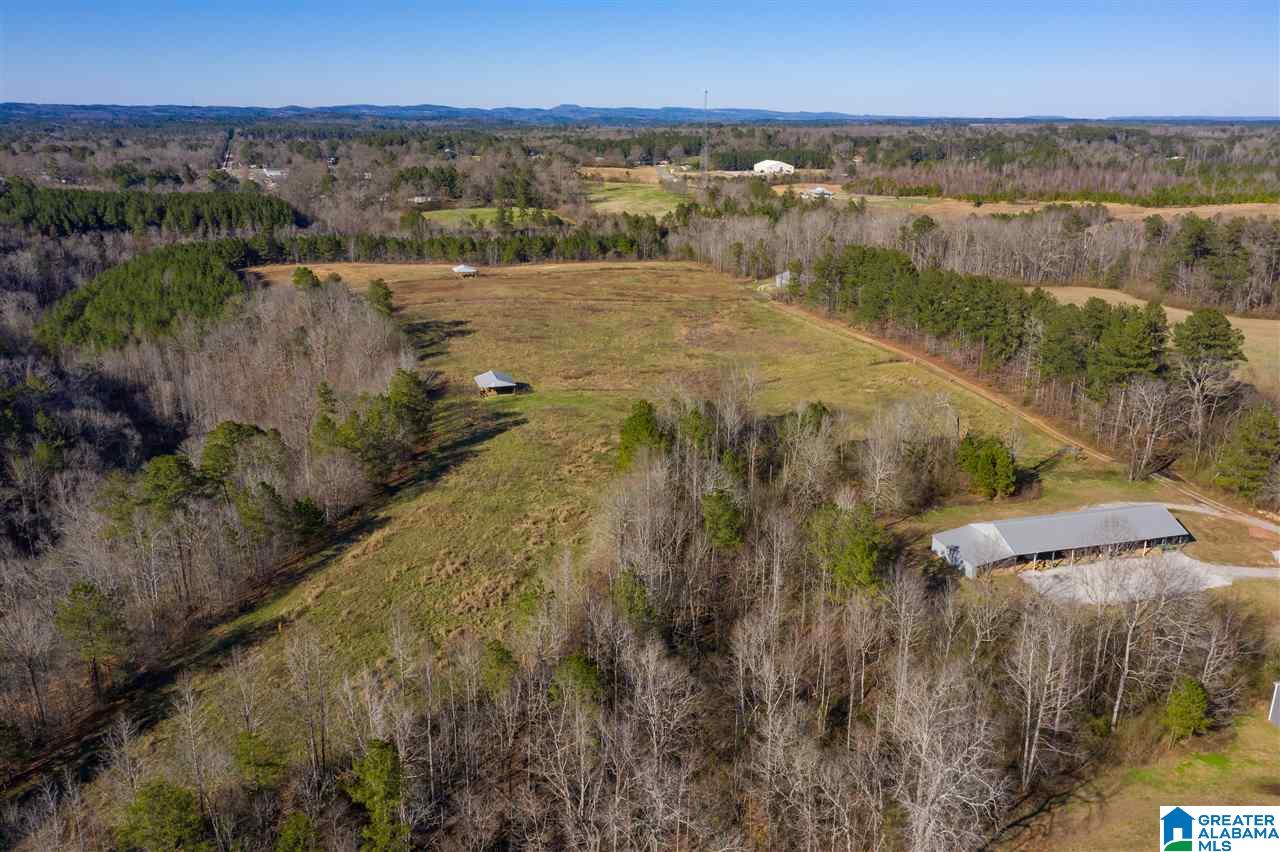 10492 Bradford Trafford Road Trafford, AL 35172 - Photo 42 of 47