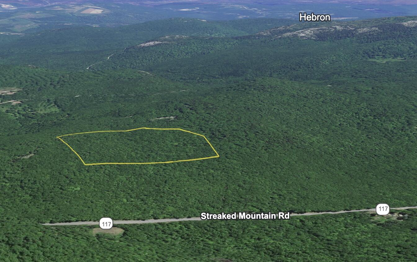 9 Streaked Mountain Road Buckfield, ME 04220 - Photo 13 of 17 RR Mine Lot 12