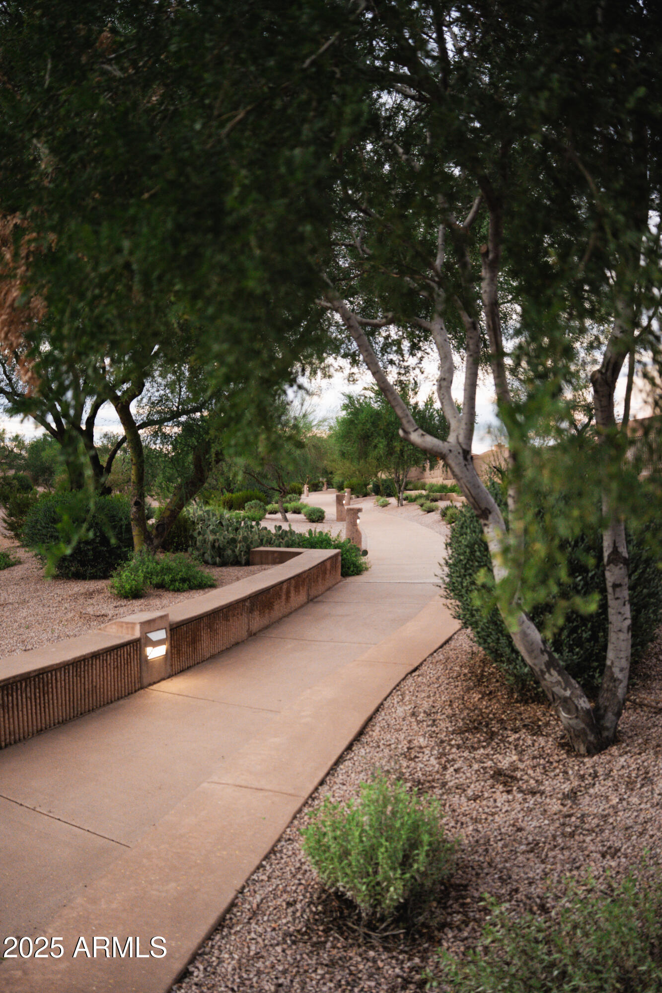 4705 East Jaeger Road Phoenix, AZ 85050 - Photo 34 of 44 a view of swimming pool with yard