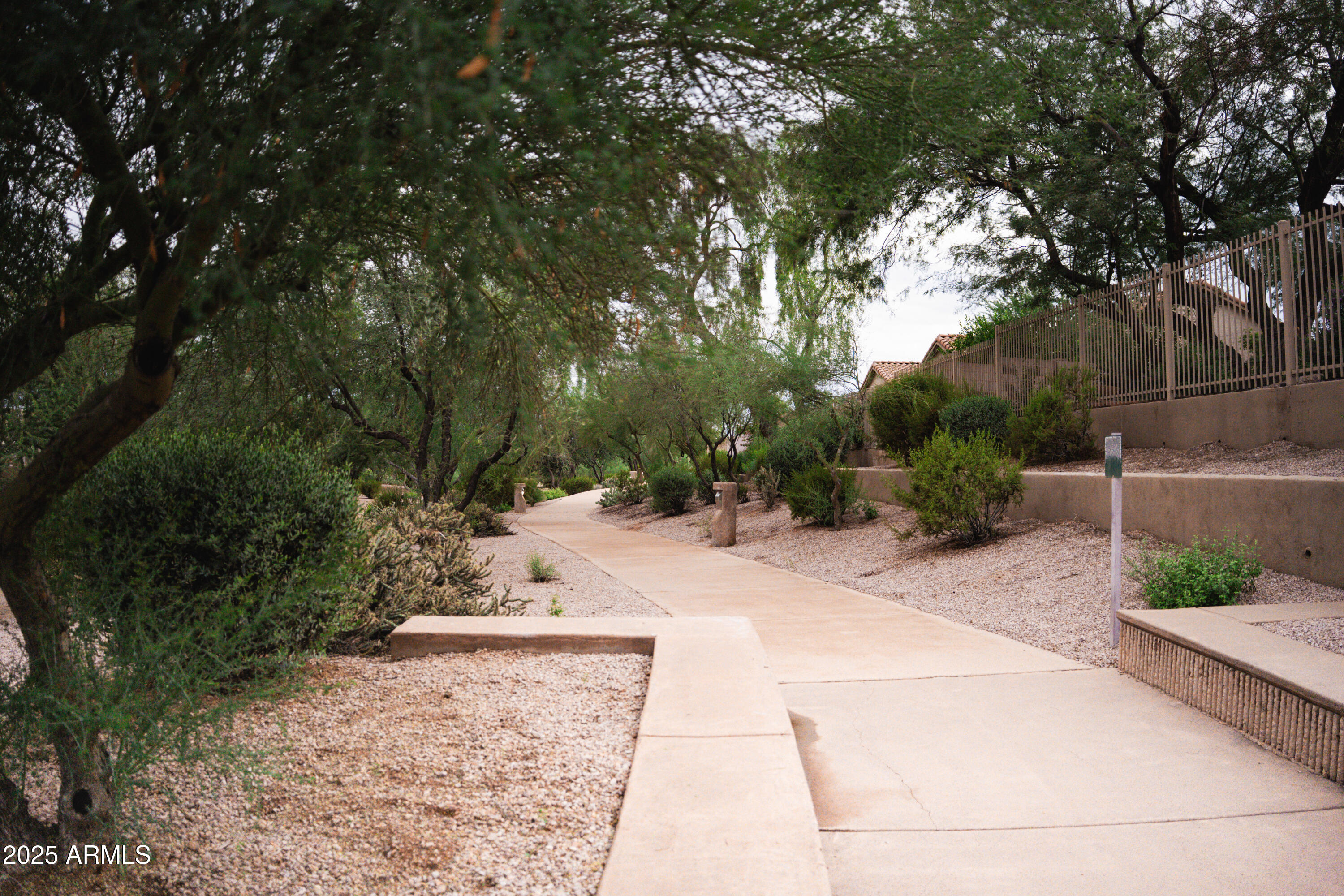 4705 East Jaeger Road Phoenix, AZ 85050 - Photo 35 of 44 a pathway of a yard