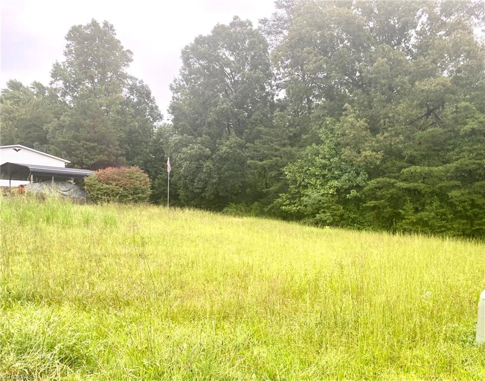 0 Cp Riddle Trail Mount Airy, NC 27030 - Photo 1 of 4 Gallery Image 1