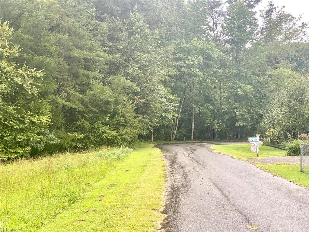 0 Cp Riddle Trail Mount Airy, NC 27030 - Photo 2 of 4 Gallery Image 2