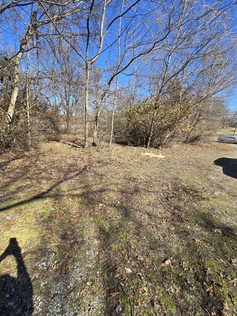 0 Giant City Road South Carbondale, IL 62902 - Photo 2 of 5 a view of a backyard of the house