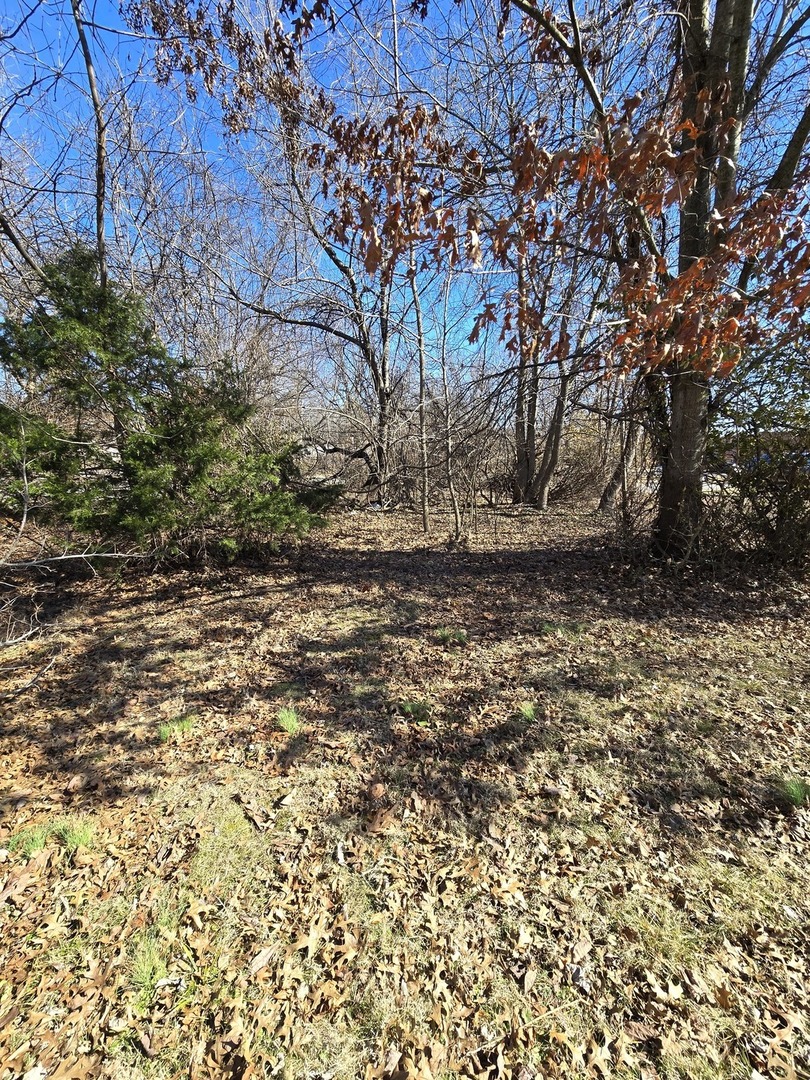 0 Giant City Road South Carbondale, IL 62902 - Photo 3 of 5 a view of a yard with a tree